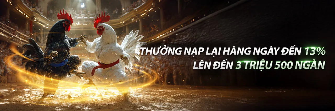 Sòng bạc trực tuyến VN69 Code với bàn chơi đẳng cấp