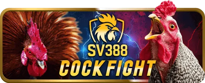 Đá gà trực tiếp tại vn69 code