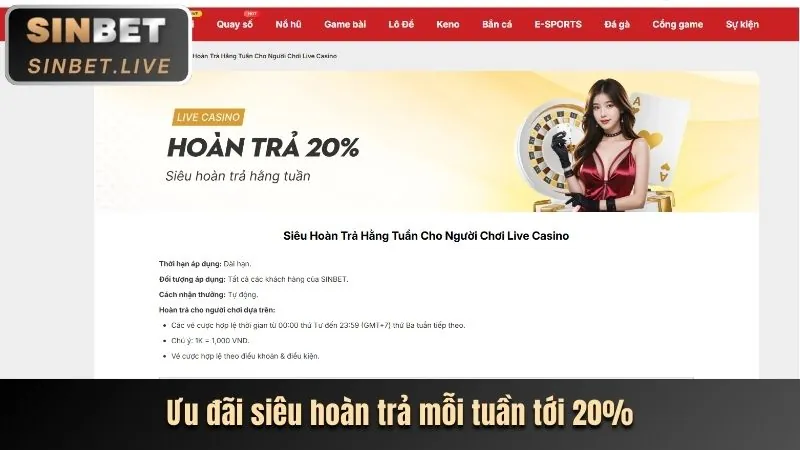 Các chương trình khuyến mãi đặc biệt theo dịp lễ tết